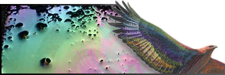 Posted Image