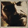 Member Avatar