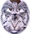 Member Avatar