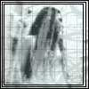 Member Avatar
